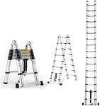 Telescopic Ladder, Multi-Function A