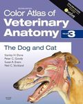 Veterinary Anatomy