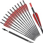 Carbon Crossbow Bolts 20 inch Arche