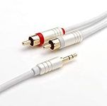 BLUERIGGER 3.5mm to RCA Audio Cable