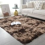 Vafodo Soft Area Rugs for Bedroom Living Room Ultra Soft Modern Fluffy Throw Carpets for Girls Boys Kids Room Shaggy Fluffy Rugs (2X3Feet, Brown)