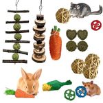 16Pcs Hamster Toys Guinea Pig Toys Small Animal Toys, Natural Wooden Toys Boredom Breakers Hamster Ball Molar Chew Toys for Bunny Chinchillas Gerbils Parrot