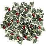 BELLE VOUS 30 Pack Artificial Holly Berries with Green Leaves - Christmas Red Holly Berry Picks for Xmas/Wedding Party Decoration, Wreath Arrangement, Crafts & Gift Box Tag Decor