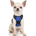 rabbitgoo Dog Harness, No-Pull Pet Harness with 2 Leash Clips, Adjustable Soft Padded Dog Vest, Reflective No-Choke Pet Oxford Vest with Easy Control Handle for Small Dogs, Navy Blue, XS