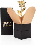 Forever Rose "Be My Valentine Bloom Box Bundle, Real Rose Hand Dipped in 24K Gold in a Beautiful Phantom Vase and Bloom Box, Romantic Valentine's Gift