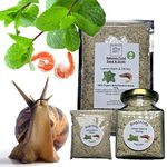 Bugznbits Giant African Land Snail Food, 100% Organic Blend with Lemon Balm & Shrimp Also Great for Millipedes & Hermit Crabs (210ml Refillable Jar)