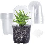 TSKDKIT 10pcs Clear Nursery Pots with Humidity Dome, 10cm Plastic Plant Pots Transparent Flower Pots with Hole, Seeding Planter Seed Starter Pots with Labels for Indoor Outdoor Garden