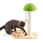 Made4Pets Cat Scratching Post with Cat Toys Scratching Post for Indoor Cats 20" Wooden Mushroom Cat Scratcher with Sisal Ropes/Interactive Track Ball Toy/Dangling Plush Ball for Small Kittens