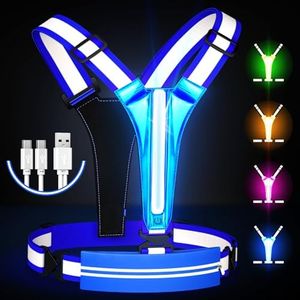 Ylzzrs LED