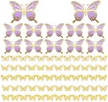 BoAn 3D Butterfly Wall Decor 72 Pcs 7 Styles 5 Sizes,Large Butterfly Decoration,Butterfly Stickers for Birthday Cake Baby Bedroom Wedding Decor,Removable Stickers(Gold +Purple)