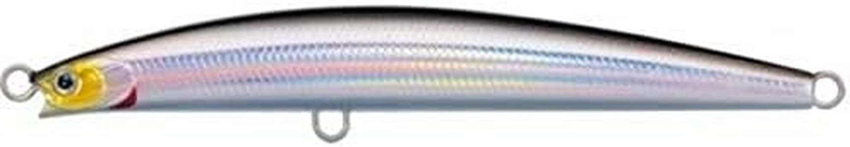 Daiwa Salt