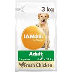 Is Iams Good Dog Foods