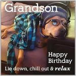 Paper Rose 'Chilled Grandson' Funny Birthday Card for Men/Boys - 'Chill Out & Relax' Dog on Sofa - Eco-Friendly & Recyclable