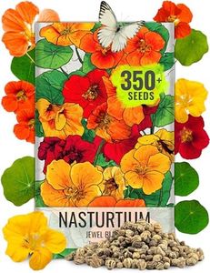 Seed Needs, 350+ Nasturtium Seeds for Planting Outdoors - Jewel Mixture (Tropaeolum nanum) Non-GMO, Easy to Grow Mix, Attracts Pollinators - Bulk
