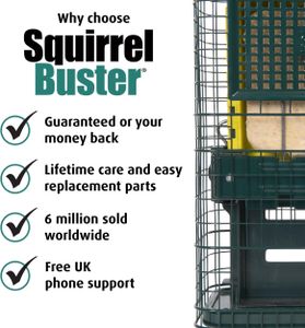 Jacobi Jayne Squirrel-Proof Suet Bird Feeder – Metal, Easy Clean, Hanging