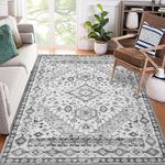 CAREMEE Area Rug 4x6 Vintage Persian Distressed Area Rug Non-Slip No-Pile Persian Carpet Accent Throw Rugs Machine Washable Area Rug Low Pile Thin Rug for Bedroom Living Room Home Decor, Grey, 4'x6'