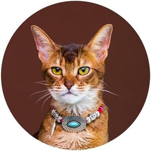 European Vintage Handmade Velvet Cat Choker Collar (XS (6.7", 4.4 lbs), Turquoise)