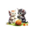 AH Decals cat Kitten Wall Sticker for Baby Kid Room Home décor (50x60cm)