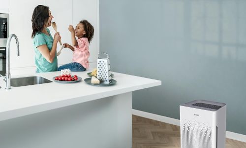WINIX Zero-S Air Purifier – HEPA Filter for Home Allergies