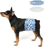 Dono Disposable Dog Nappies Male, 2