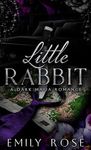 Little Rabbit: A Dark Mafia Romance