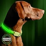 LED Dog Collar, USB Rechargeable, Y
