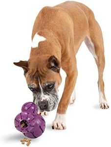 PetSafe Busy Buddy Barnacle - Dog Chew Toy - Treat Dispensing Dog Toys