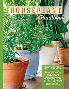 Houseplant