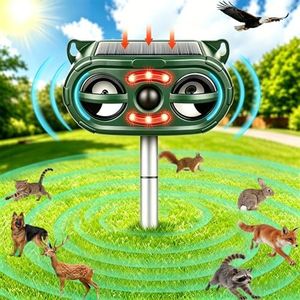 Solar Anim