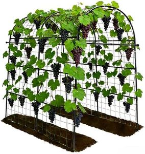 Garden Arch Trellis for Climbing Plants Outdoor - 83" H*71" W*43" L (Black)