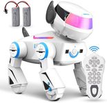 Remote Control Robot Dog Toys for K