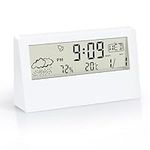 Paddsun Digital Alarm Clock, Transp