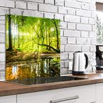 murando Glass Splashback for Kitchen Backsplash Cooker Protector Tempered Glass Decorative Wall Art Panel Heat Resistant Graphic 60x60 cm / 24"x24" Landscape Nature Forest c-B-0505-aq-a