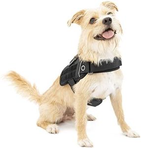 Kurgo MOLLE Clip Compatible Tactical Dog Harness, MOLLE Vest for Dogs, Service Dog Training Vest, RSG Townie Dog Harnessfor Small, Medium & Large Dogs (Small, Black)