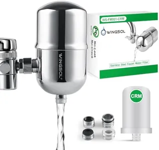 WINGSOL WINGSOL Faucet Filter Reusable Washable Filter Fit Well Water 304 Stainless Steel, Mainly Reduce Rust, Dirt, Sand and Partially Remove Odor Smell/Improve Taste, 250G 0.5µm Faucet Water Filter