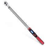 DESHIL 1/2 Inch Drive Digital Torque Wrench 12.5-250.8 ft-lbs(17-340Nm), Electric Torque Wrench with Buzzer& LED Indicator& Preset Value& Data Storage, for Bike/Motorcycle/Auto Repair, Accuracy ±2%