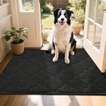COSY HOMEER Front Door Mat 80x120 CM, Dirt Trapper Floor Mat, Polyester Welcome Door Mat for Kitchen Room Office Entryway Doors, Absorbent Non-Slip Low Profile Indoor Doormat, Machine Washable, Black