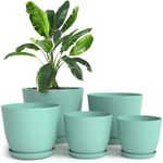 Utopia Home - Plant Pots Indoor wit