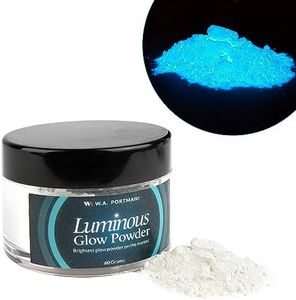 WA Portman Luminous White Glow Powder - 60g (2.12 oz) per Jar Glow in The Dark Powder for Resin - Glow in The Dark Resin Pigment - Glow Powder for Resin - Phosphorescent Powder White to Blue