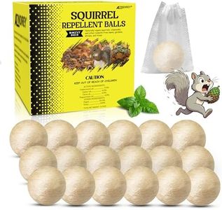 Squirrel R