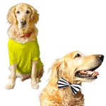 Ruse Basic Summer Dog T-Shirt Solid Pets Crew Neck & Acai Berry Striper Bow Tie Half Sleeves Party Dress Set/Apparel/Clothes/Tees Gift for Dogs.X-Large