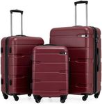 Coolife Luggage Expandable 3 Piece Sets PC+ABS Spinner Suitcase 20 inch 24 inch 28 inch (Radiant Pink., 3 piece set)