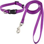 Dog Collar and Leash Set, Nylon Collar and Leash for Dogs Classic Solid Colors for Small Medium Large Dogs (XS, Collar 8-12", 3/8", Purple)