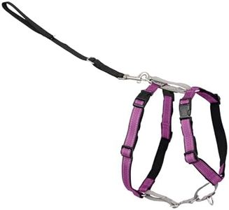 PetSafe 3