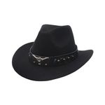 Mens Novelty Cowboy Hats