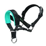 ILEPARK Dog Head Collar with Soft Fabric, Dog Head Harness to Stop Pulling, Adjustable Head Halter Collar for Dogs (S,Green)