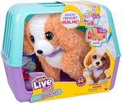 Little Live Pets Ouchies Amazon Exc