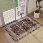 Rugcomf Door Mat Indoor Entrance 2x3 Rug Machine Washable Boho Small Area Rug Non-Slip Low Pile Throw Rugs for Entryway, Kitchen, Front Door Indoor Entrance, Entry, Kids Room (Dark Espresso)