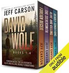 The David Wolf Mystery Thriller Series: Books 1-4