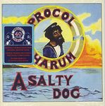 Salty Dog